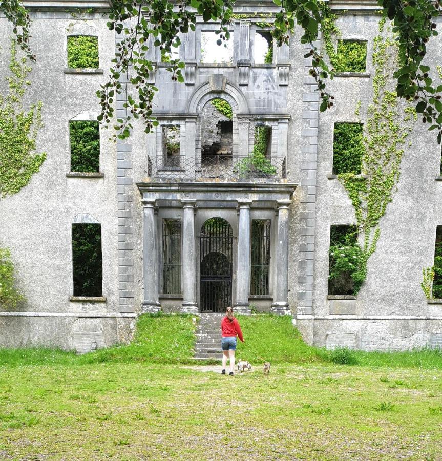 Reed Warbler Cottage Ballinrobe Exteriör bild